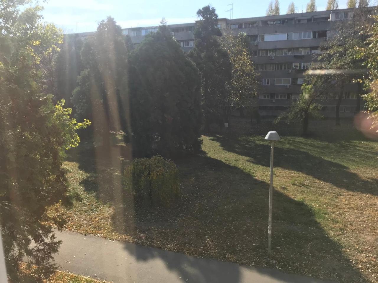 Apartment Lovely 2